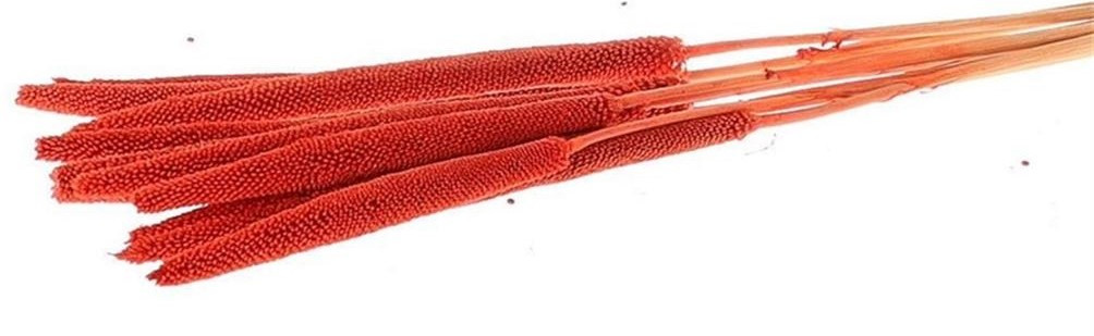 COUNTRYFIELD Countryfield Διακοσμητικό Τεχνητό Κλαδί Babala Orange Σετ 10τμχ 70cm