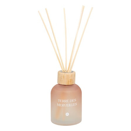 ATMOSPHERA Atmosphera Diffuser Αρωματικό Με Sticks Terre Des Merveilles 150ml