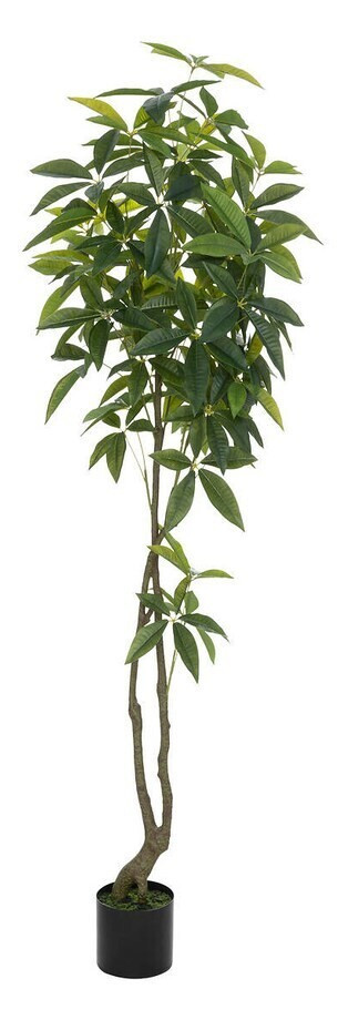 ATMOSPHERA Atmosphera Τεχνητό Φυτό Σε Γλάστρα Παχύρα 180cm