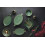 Σαλατιέρα Πορσελάνης Ρηχό Wings Olive Green 22cm