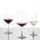 Schott Zwiesel Ποτήρι Λευκού Κρασιού Taste Κρυστάλλινο Σετ 6Τμχ. 500ml
