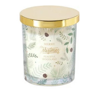 Atmosphera Χριστουγεννιάτικο Αρωματικό Κερί Σε Βάζο Christmas Flower