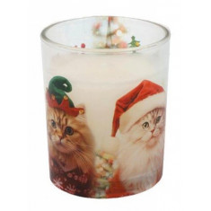 Arte Regal Χριστουγεννιάτικο Σε Βάζο Cats 7.5cm Arte Regal Χριστουγεννιάτικο Σε Βάζο Cats 7.5cm