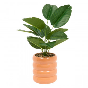 Atmosphera Τεχνητό Φυτό Φύκος Σε Κασπώ 45cm Terracotta