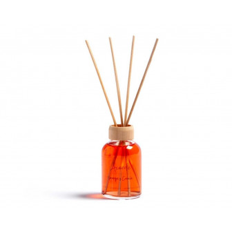 Atmosphera Diffuser Με Sticks orange And Cinnamon 50ml