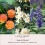 Laura Ashley Αρωματικό Κερί Lotus & Orchid 400gr